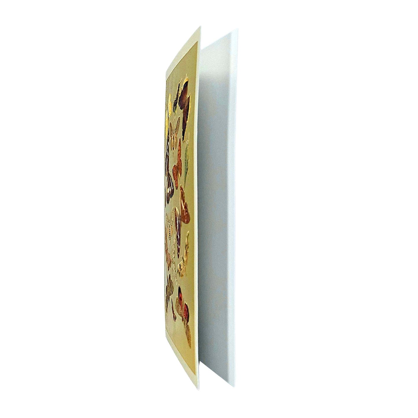 Lepidoptera Moths & Butterflies Gold Foiled Art Card