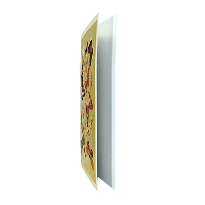 Lepidoptera Moths & Butterflies Gold Foiled Art Card