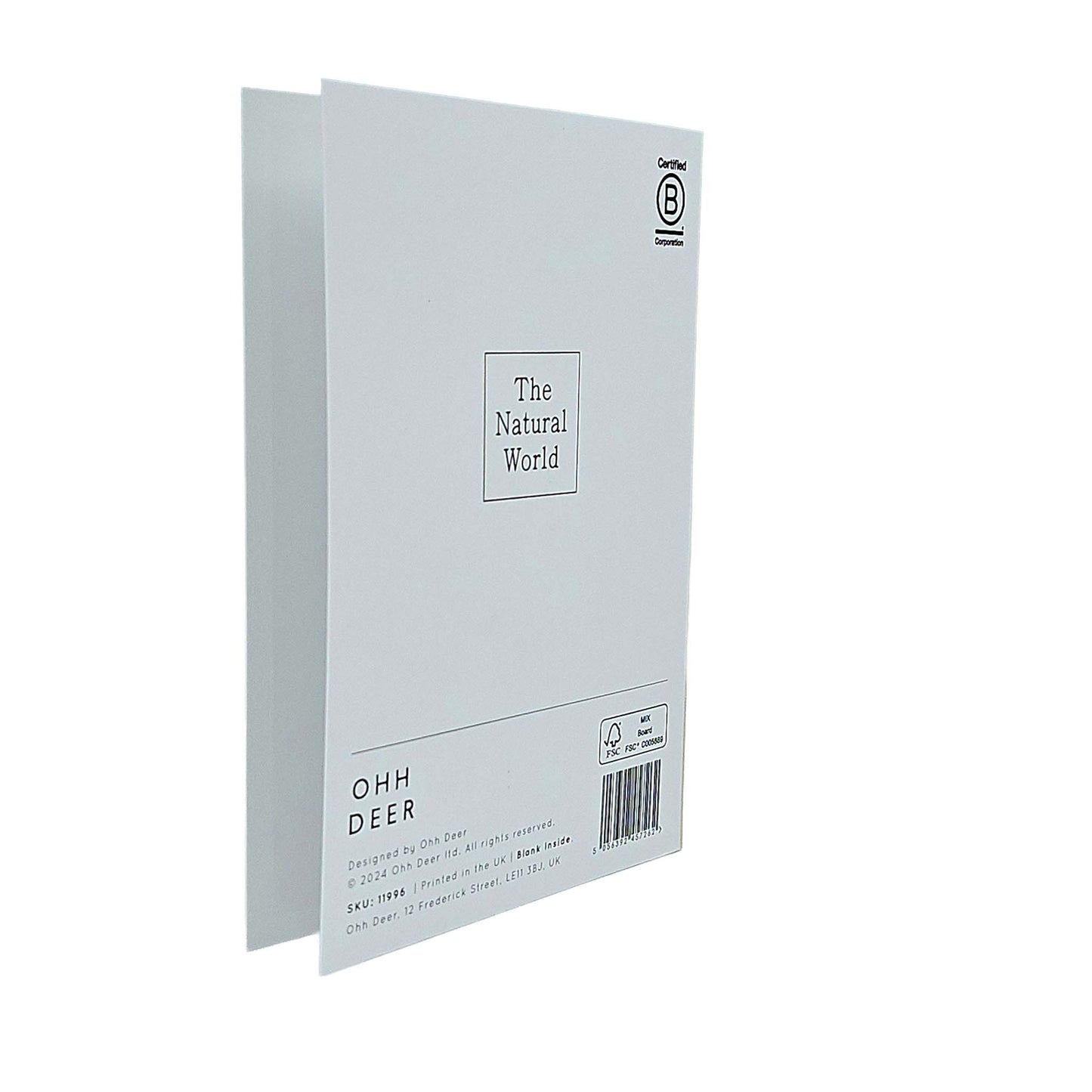 Tree Peony Gold Foiled Art Card