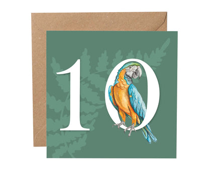 Parakeet 10th Birthday Card