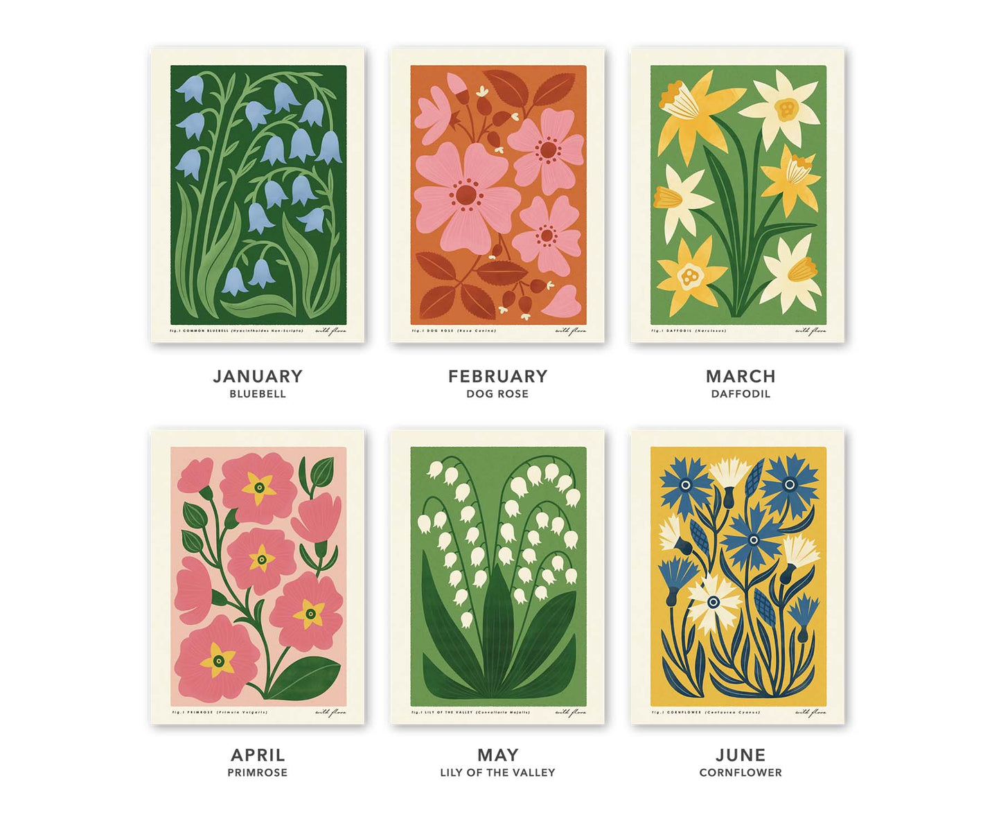 Wild Flora British Flowers Illustrated 2026 Calendar