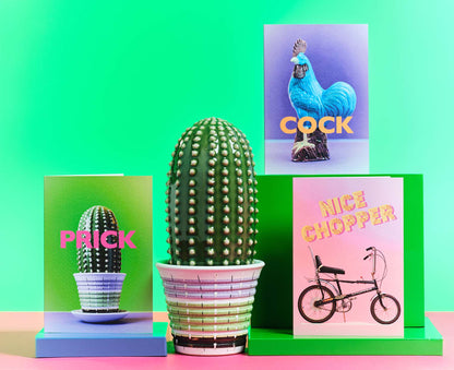 Prick Cactus Greetings Card