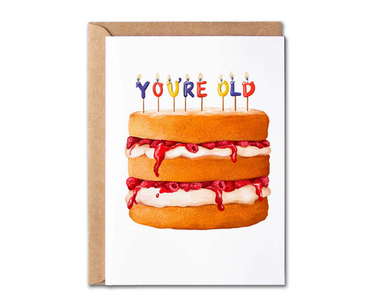 You're Old Birthday Cake Birthday Card