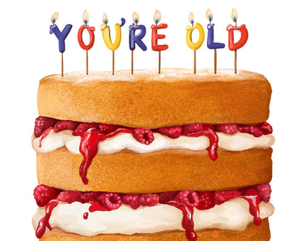 You're Old Birthday Cake Birthday Card