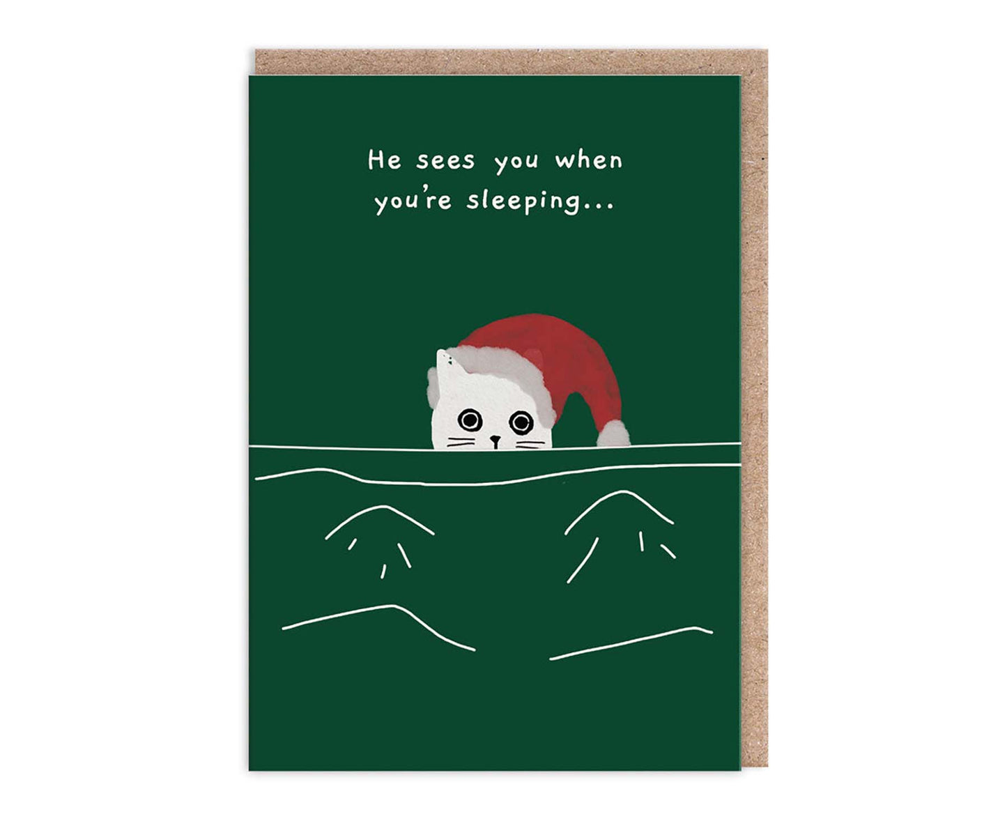 He Sees You When You're Sleeping Cat Christmas Card