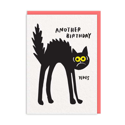 Another Birthday Yikes Cat Birthday Card