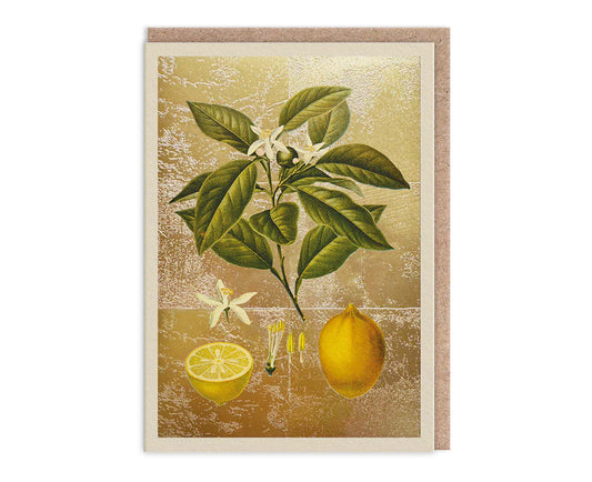 Lemons Gold Foiled Art Card