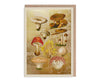 Fungi Collection Gold Foiled Art Card