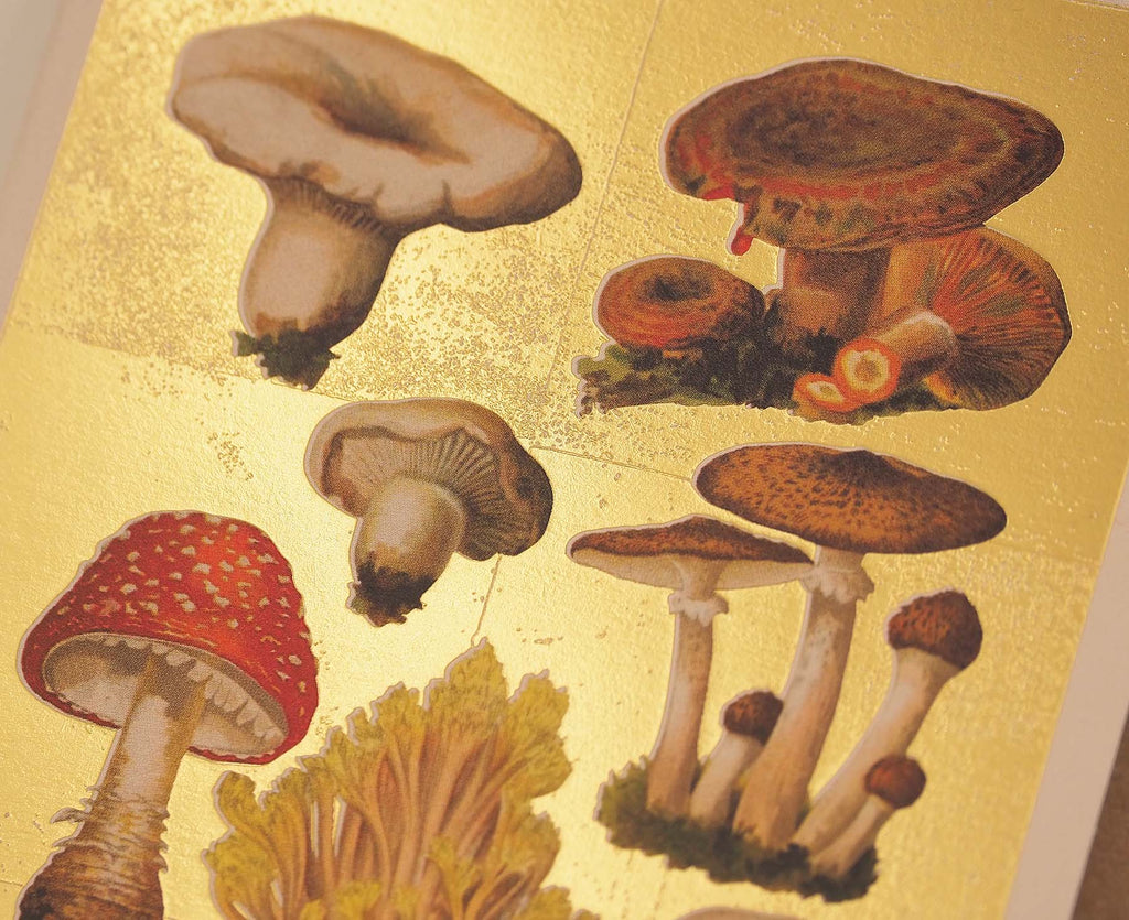 Fungi Collection Gold Foiled Art Card