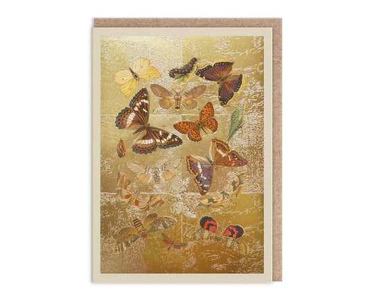 Lepidoptera Moths & Butterflies Gold Foiled Art Card