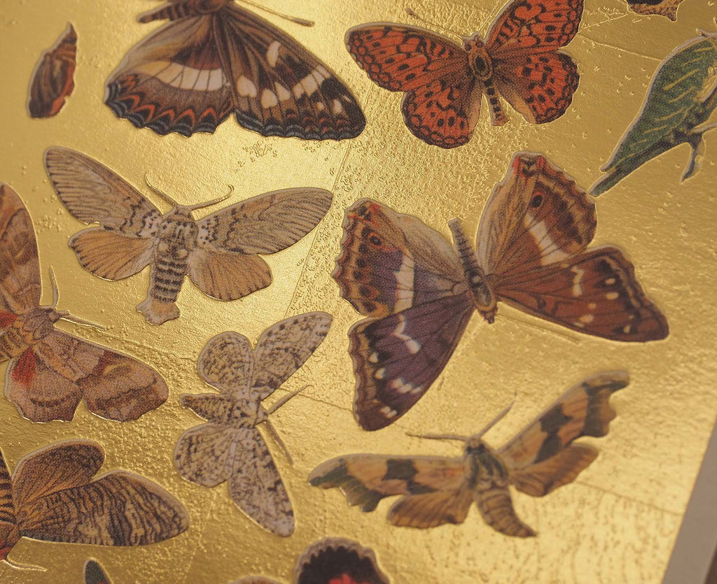 Lepidoptera Moths & Butterflies Gold Foiled Art Card