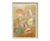 Shell Collection Gold Foiled Art Card