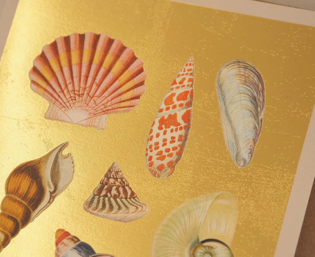 Shell Collection Gold Foiled Art Card