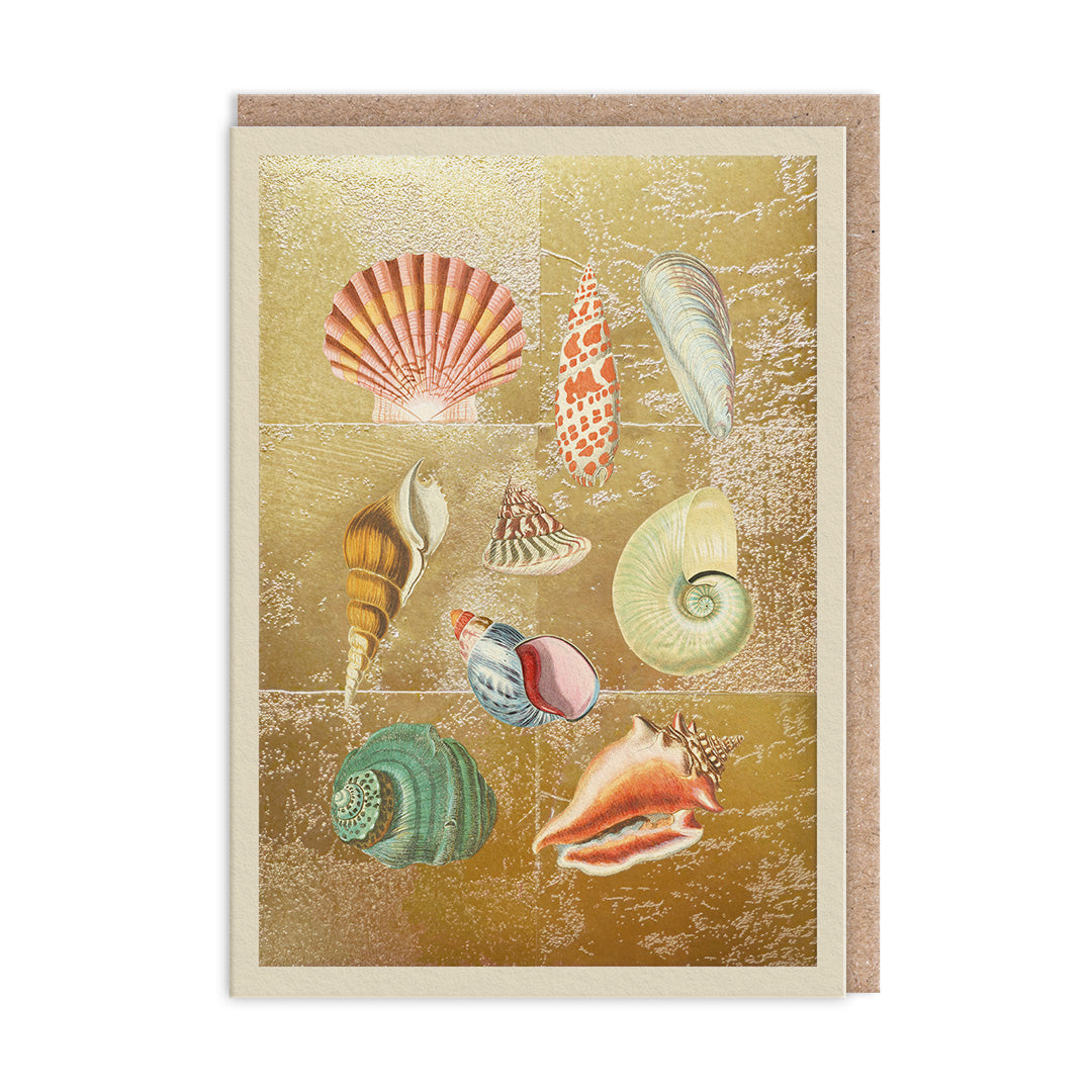 Shell Collection Gold Foiled Art Card