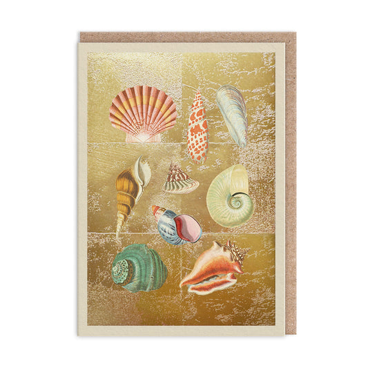 Shell Collection Gold Foiled Art Card