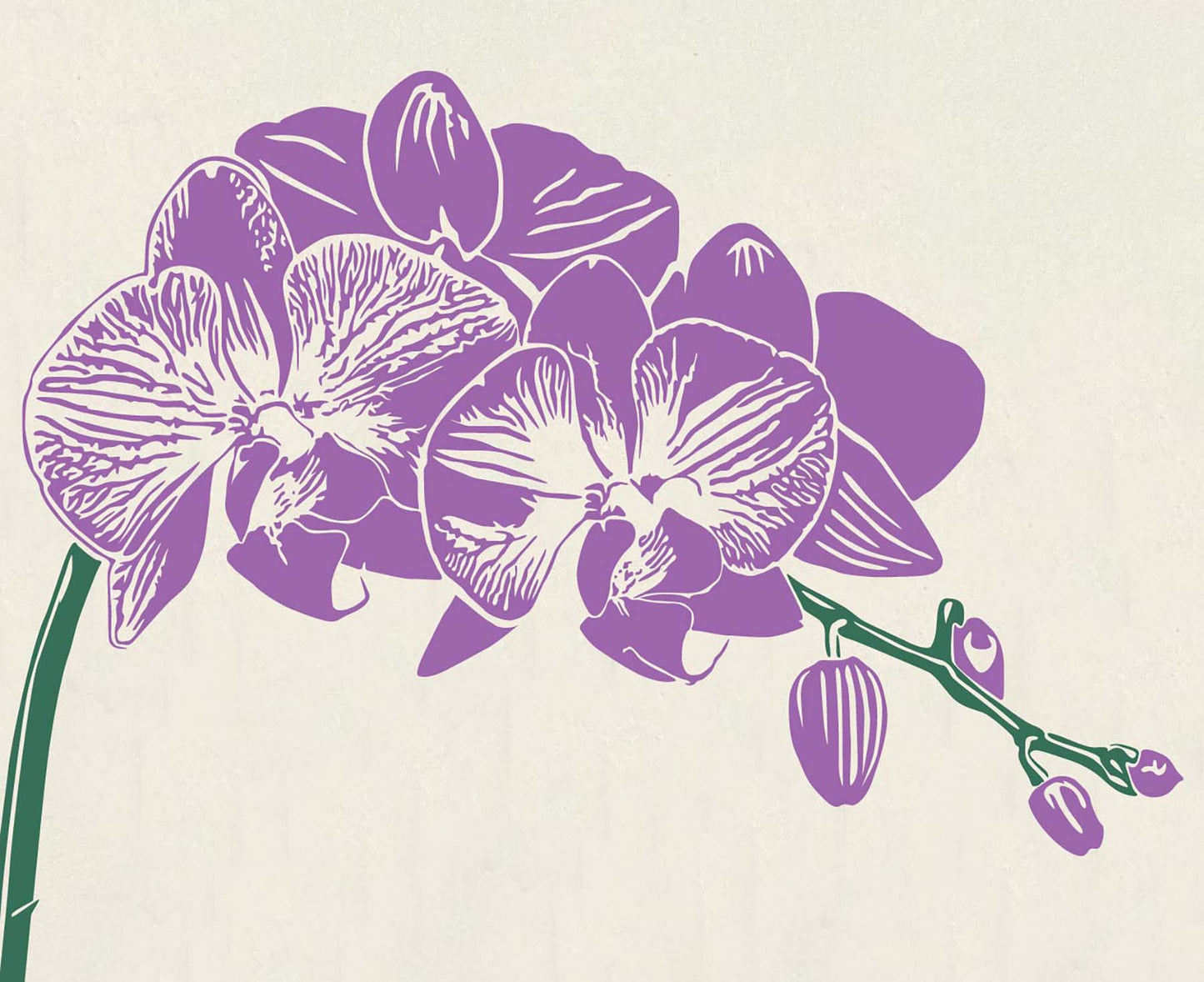 Orchid Floral Letterpress card