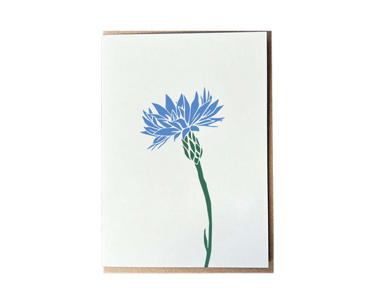 Cornflower Flora Letterpress card